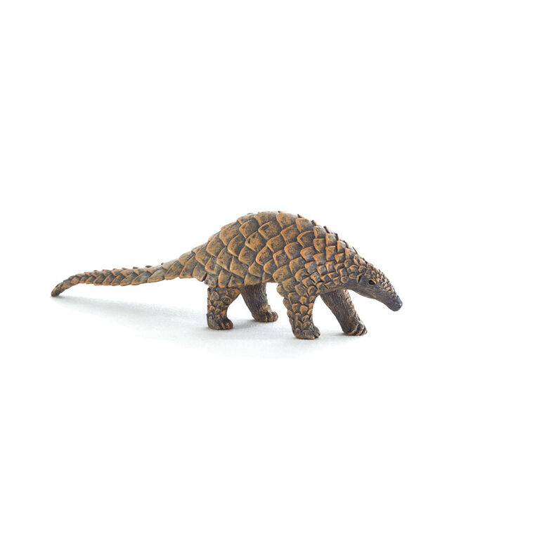 ALEX - Indian Pangolin - Medium