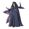 Hasbro Marvel Legends Series Agatha Harkness, WandaVision Marvel Legends Action Figures, 6 Inch