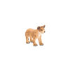 ALEX - Lion Cub Standing - Small