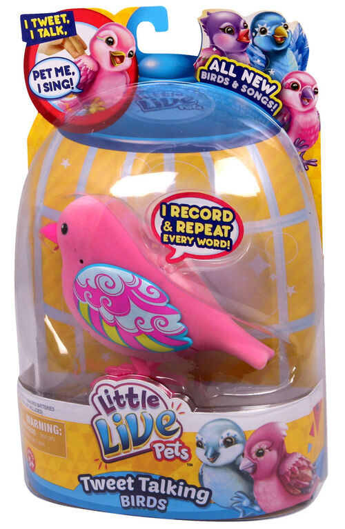 Little Live Pets: Bird single Pack - Rainbow Glow