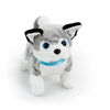 Pitter Patter Pets - Playful Puppy Pal Grey and White Husky - R Exclusive - English Edition