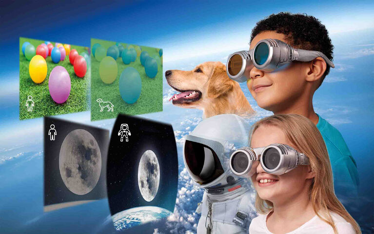 Jouets de remue-méninges : voir le monde à travers les yeux des autres
