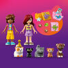 LEGO Friends Cat Birthday Party & Tree House Building Toy - Pretend Play Set for Kids, 6+ - 42666