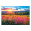Sure-Lox 4 In 1 Art Gallery Multipack Puzzles - 500 and 1000 Piece Jigsaw Puzzles