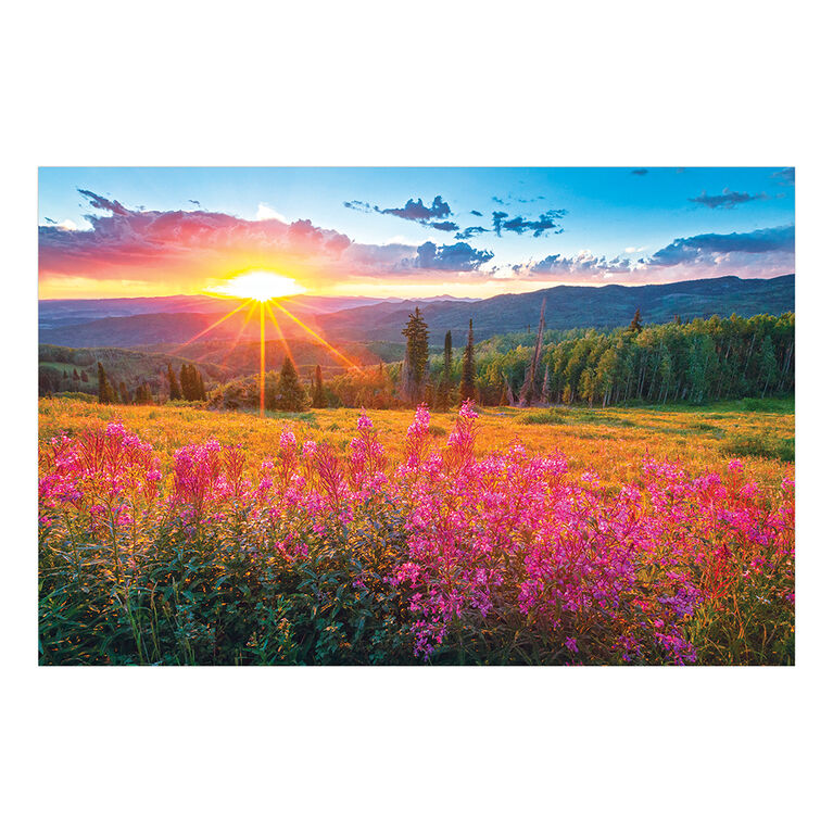 Sure-Lox 4 In 1 Art Gallery Multipack Puzzles - 500 and 1000 Piece Jigsaw Puzzles