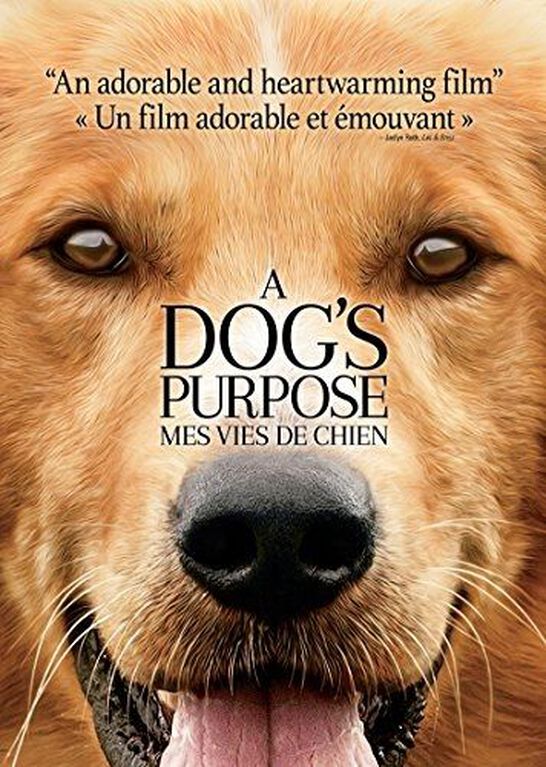 A Dog's Purpose (Bilingual)