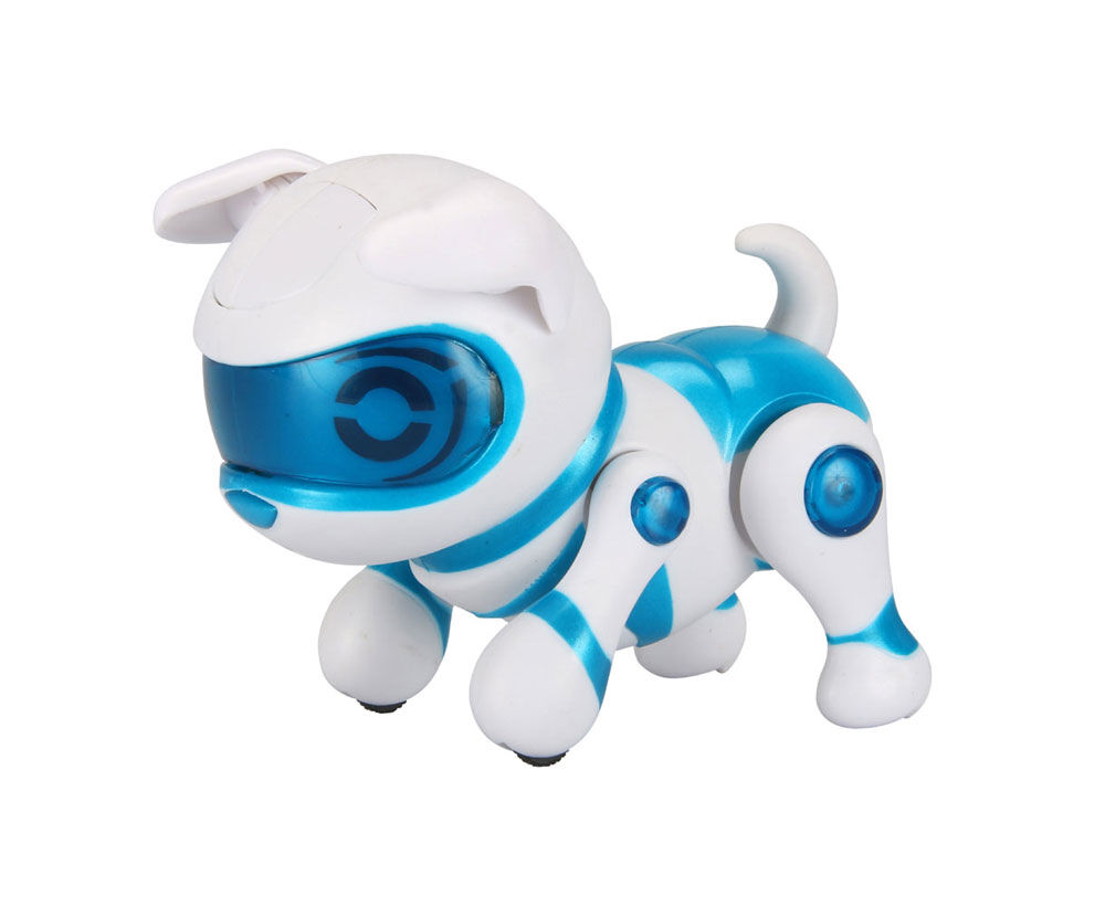 teksta newborn puppy