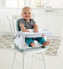 Fisher-Price Healthy Care Deluxe Booster Seat - R Exclusive