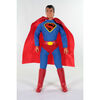 Figurine World's Greatest Super-Heroes, 50e anniversaire - Superman - Édition anglaise