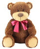 Animal Adventure Caleb Bear