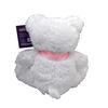 Starlight Bear 2024