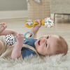 Fisher-Price  Mes Premières Maracas, ens. de 2, contraste élevé