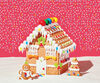 Ez Build Gingerbread House Kit