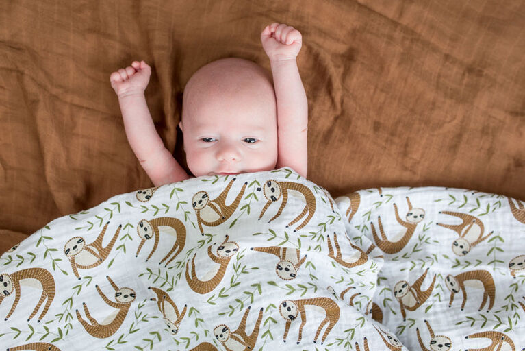 Lulujo - Modern Sloth Swaddle Blanket