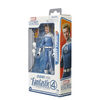 Marvel Legends Series Johnny Storm Action Figure