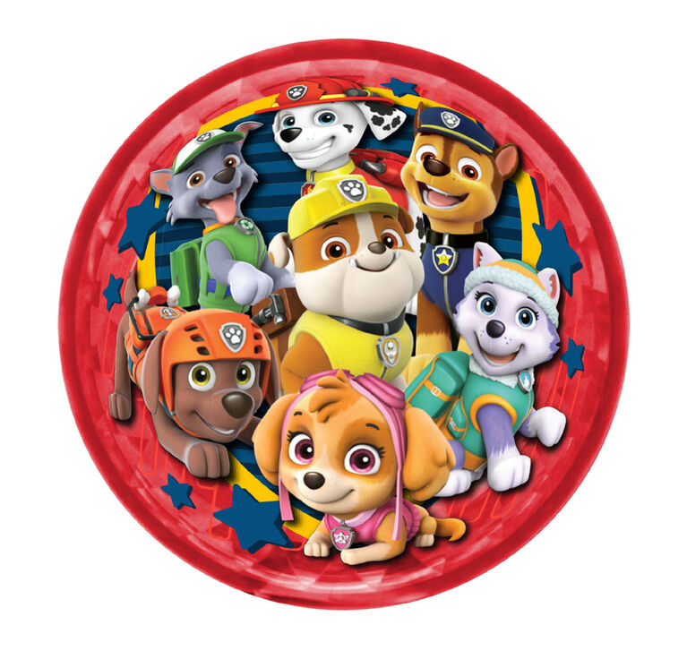 4" Paw Patrol Light Up Ball