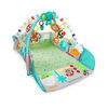 5-in-1 Your Way Ball Play Activity Gym