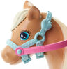 Barbie Club Chelsea Dolls & Horse
