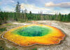 EuroGraphics Morning Glory Pool 1000-Piece Puzzle