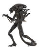 Alien- Aliens Warrior (1986) Brown - Édition Anglaise