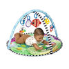 Baby Einstein Sea Floor Explorers 2-in-1 Water Mat Play Gym