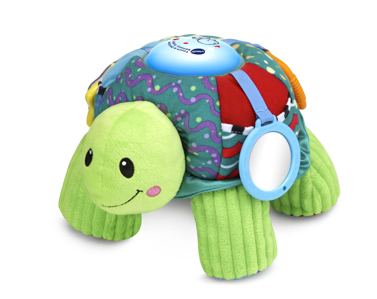 sensory turtle toy
