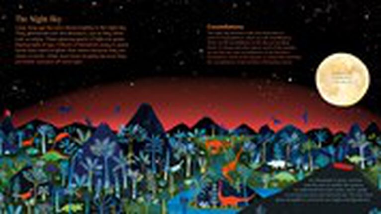Night Sky - English Edition
