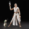 Star Wars The Black Series Rey and D-O 6-inch Scale Star Wars: The Rise of Skywalker Collectible Action Figures