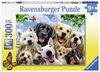 Ravensburger: Animals - Delighted Dogs casse-tête (300pc)