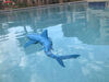 Shark Shark RC (Requin)