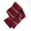 Harry Potter Hogwarts Gryffindor House Scarf Knitting Kit