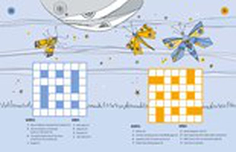 100 Children's Crosswords: General Knowledge - Édition anglaise