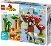 LEGO DUPLO Les animaux sauvages d'Asie 10974 Ensemble de construction (117 pièces)