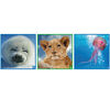 3 Puzzles - Seal Pup. Lion Cub. Jellyfish