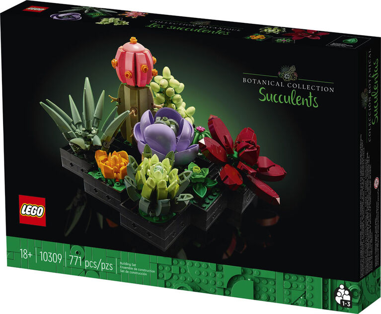LEGO Botanicals Les succulentes; plantes d'intérieur, cactus, aloe vera, echeveria 10309