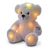 Snuggle Buddies Brilliant Light Up Bear - R Exclusive
