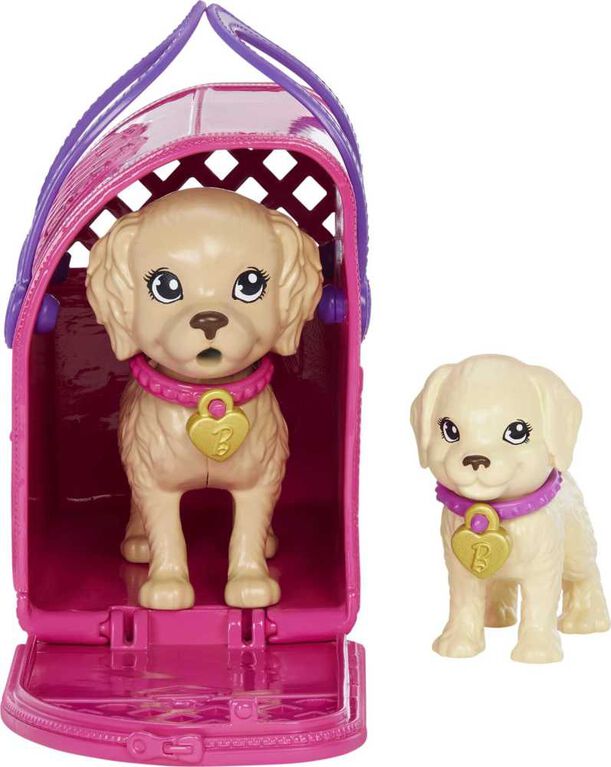 Barbie Doll and Accessories Pup Adoption Playset with Doll, 2 Puppies and Color-Change