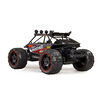 Xceler8 1:10 RC Rally Panther - R Exclusive