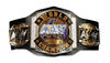 AEW - Ceinture de championnat de jeu de rôle - Titre de Tag Team