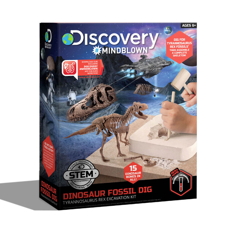 Toy Dinosaur Excavation Kit Skeleton 3D Puzzle - T Rex
