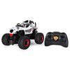 Monster Jam, Official Monster Mutt Dalmatian Remote Control Monster Truck, 1:24 Scale, 2.4 GHz