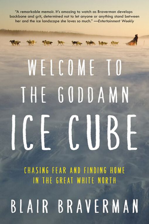 Welcome to the Goddamn Ice Cube - English Edition
