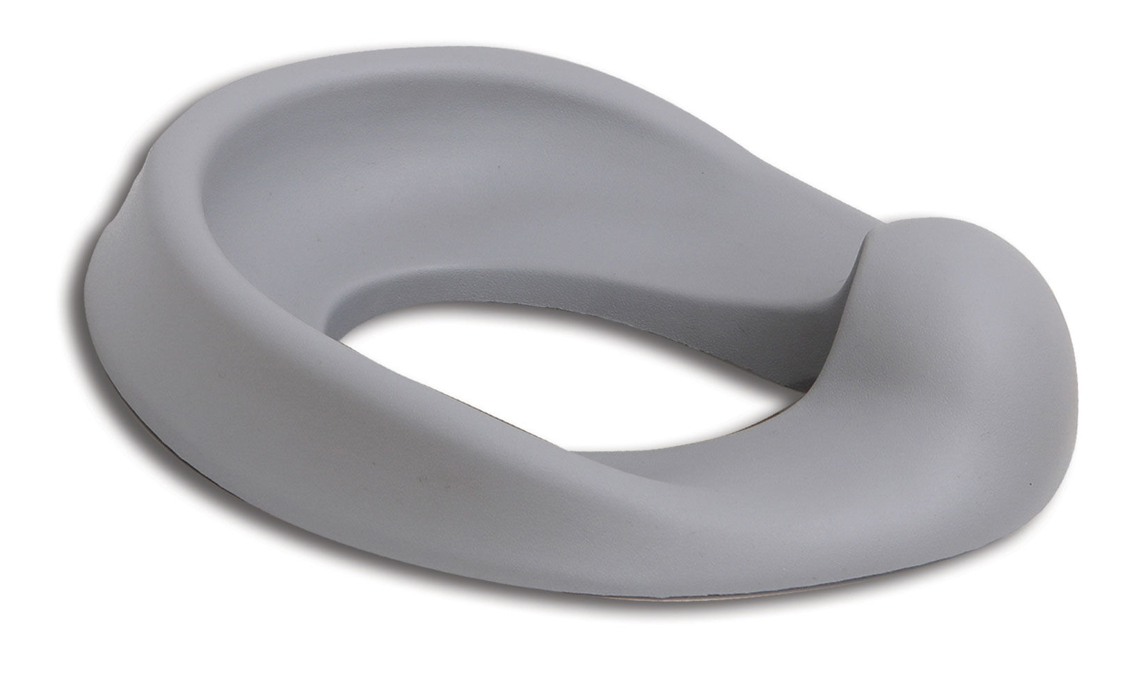 Toys r us potty seat online