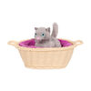 Our Generation, Cat Pet Set Accessory for 18-inch Dolls