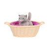 Cat Pet Set, Our Generation, Accessoires de soin d'animal en peluche pour poupées de 18 po