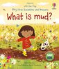 Lift-the-Flap Very First Questions and Answers: What is Mud? - English Edition