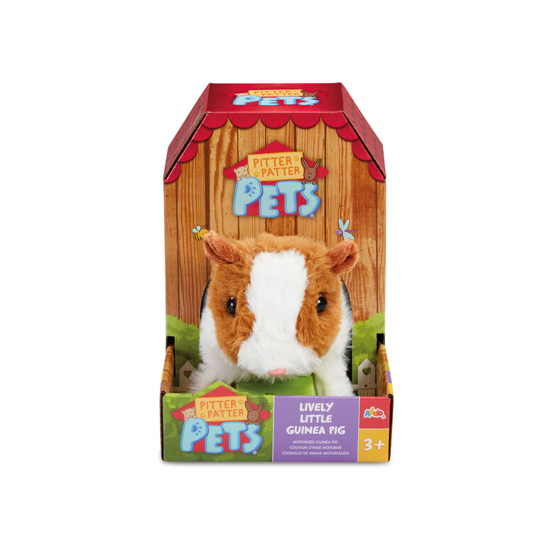 Pitter Patter Pets cochon d'Inde motorisé - Notre Exclusivité