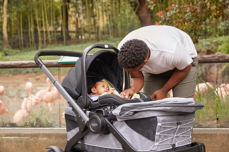 Graco Modes Adventure Stroller Wagon, Teton