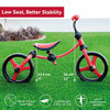 smarTrike Balance Bike