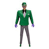 Batman: The Animated Series Batman (Blind as a Bat) 6" Build-A Figure-The Riddler